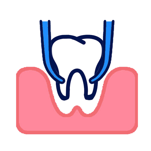 Dental Extraction Icon