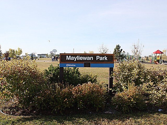Mayliewan
